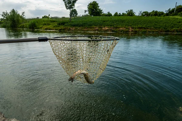 在湖上钓鱼 渔业背景 — 图库照片