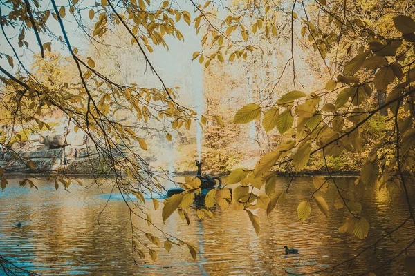 Outono Lindo Belo Parque Histórico — Fotografia de Stock