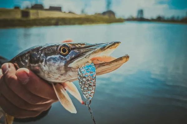 Pesca Riposo Campagna Contesto Sul Tema Della Ricreazione — Foto Stock