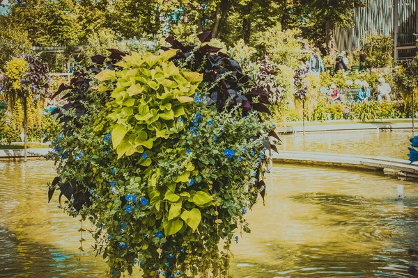 Kopenhag Daki Güzel Park Bahçe Çekim — Stok fotoğraf