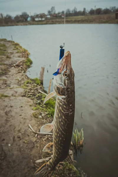 Fishing Sport Recreation Background — Stock Photo, Image