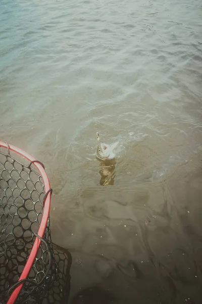 Pesca Esporte Recreação Fundo — Fotografia de Stock