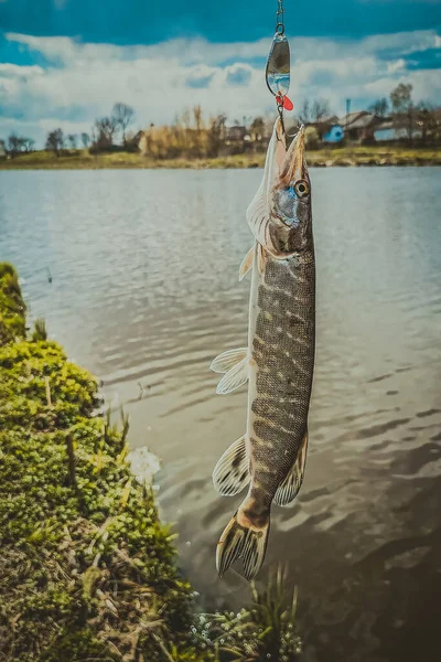 Pesca Descanso Rural Contexto Sobre Tema Recreación — Foto de Stock