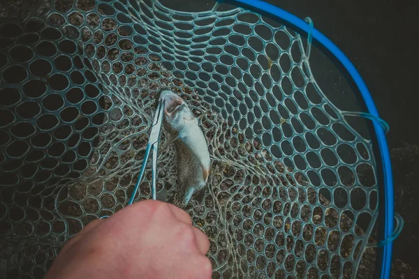 Pesca Alla Trota Sul Lago — Foto Stock