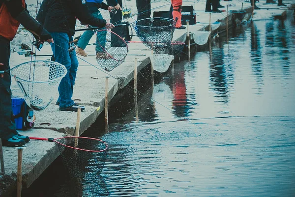 Риболовля Форелі Озері Риболовля Відпочинок — стокове фото