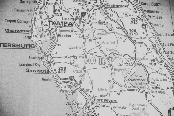 Florida State Usa Map Background — стокове фото