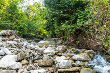 Muhteşem dağ nehri. Büyüleyici bir doğa.