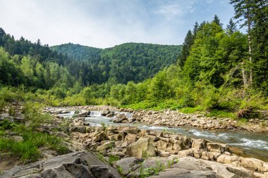 Muhteşem dağ nehri. Büyüleyici bir doğa.