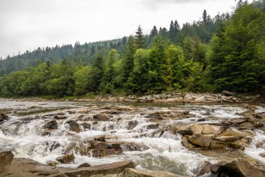 Muhteşem dağ nehri. Büyüleyici bir doğa.