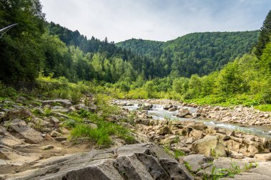 Muhteşem dağ nehri. Büyüleyici bir doğa.