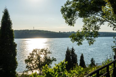 Göl kenarındaki ağaçlarla güzel bir teras.