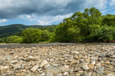 Muhteşem dağ nehri. Büyüleyici bir doğa.