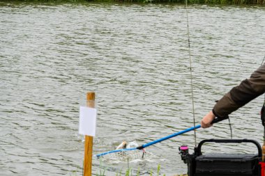 Gölde balık tutmak, şehrin dışında dinlenmek.