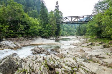 Muhteşem dağ nehri. Büyüleyici bir doğa.