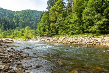 Muhteşem dağ nehri. Büyüleyici bir doğa.