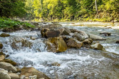 Muhteşem dağ nehri. Büyüleyici bir doğa.