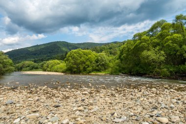 Muhteşem dağ nehri. Büyüleyici bir doğa.