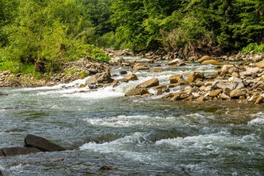 Muhteşem dağ nehri. Büyüleyici bir doğa.
