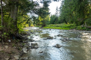 Muhteşem dağ nehri. Büyüleyici bir doğa.