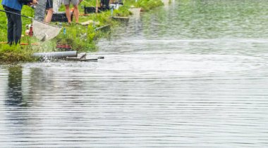 Gölde balık tutmak, şehrin dışında dinlenmek.