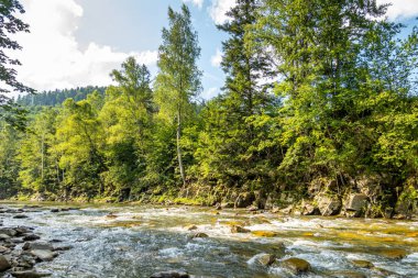 Muhteşem dağ nehri. Büyüleyici bir doğa.