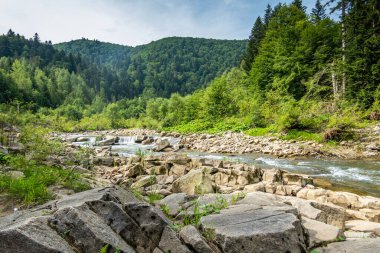 Muhteşem dağ nehri. Büyüleyici bir doğa.