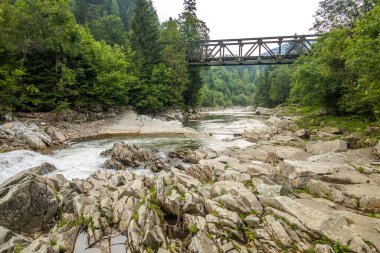 Muhteşem dağ nehri. Büyüleyici bir doğa.