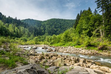 Muhteşem dağ nehri. Büyüleyici bir doğa.