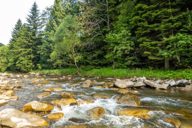 Muhteşem dağ nehri. Büyüleyici bir doğa.