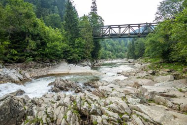 Muhteşem dağ nehri. Büyüleyici bir doğa.