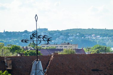 Güzel Ukrayna şehri Ternopil. Ternopil sokakları