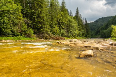 Muhteşem dağ nehri. Büyüleyici bir doğa.