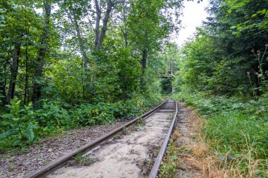 Muhteşem dağ nehri. Büyüleyici bir doğa.