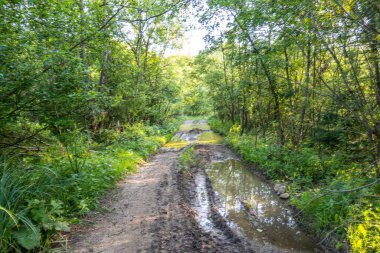 Muhteşem dağ nehri. Büyüleyici bir doğa.