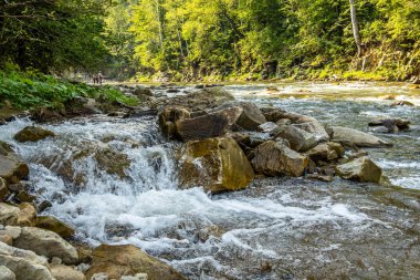 Muhteşem dağ nehri. Büyüleyici bir doğa.