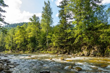 Muhteşem dağ nehri. Büyüleyici bir doğa.