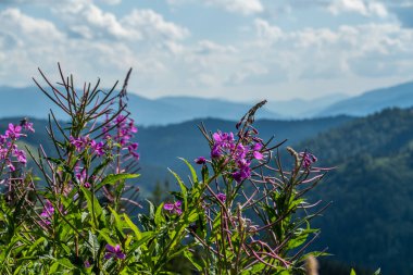 Dağların muhteşem manzarası
