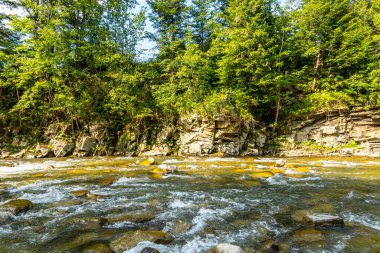 Muhteşem dağ nehri. Büyüleyici bir doğa.