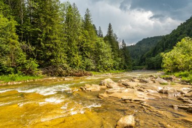 Muhteşem dağ nehri. Büyüleyici bir doğa.