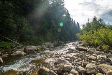 Muhteşem dağ nehri. Büyüleyici bir doğa.