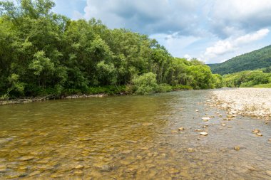 Muhteşem dağ nehri. Büyüleyici bir doğa.