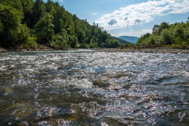 Muhteşem dağ nehri. Büyüleyici bir doğa.