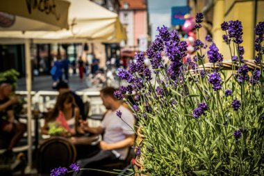 Wroclaw, Polonya - 15 Haziran 2019 Wroclaw Evleri ve Wroclaw şehrinin sokakları. Şehir manzarası