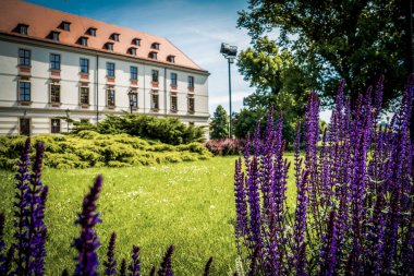Wroclaw 'ın güzel kiliseleri. Çekicilik, Avrupa 'da seyahat