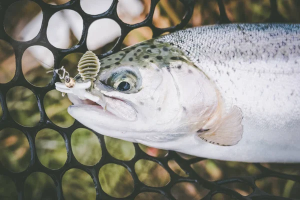 Fishing Lake Fishing Background — Stock Photo, Image