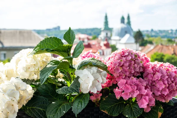 Krásné Ukrajinské Město Ternopil Ulice Ternopil — Stock fotografie