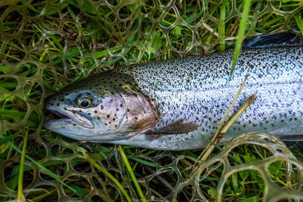 Fishing Lake Fishing Background — Stock Photo, Image