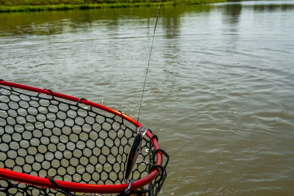 Pescar Lago Fundo Pesca — Fotografia de Stock