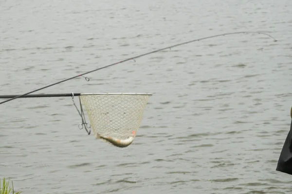 Pêche Sur Lac Repos Dehors Ville — Photo