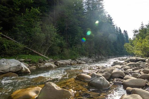 Muhteşem Dağ Nehri Büyüleyici Bir Doğa — Stok fotoğraf